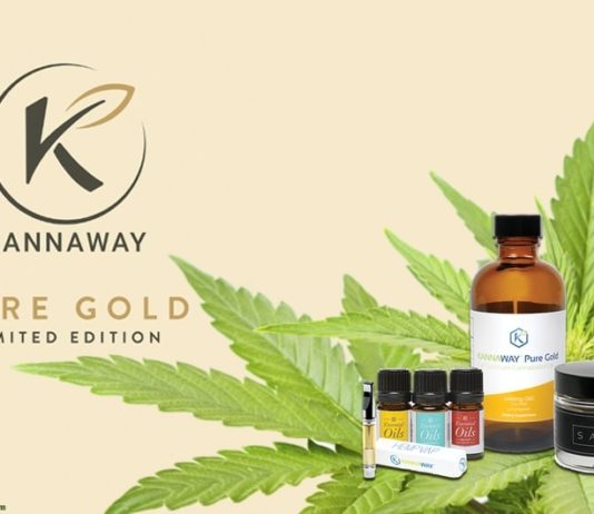 Top leader Daniele Paiola Bellucci joins Kannaway