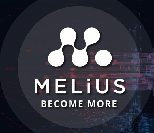 Rémy Nurdin erreicht Präsidentschaftsdiamanten-Rang bei MELiUS